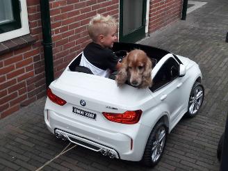 uszkodzony inne Alle  GESLOTEN t/m 4 Januari 2026 2026/1