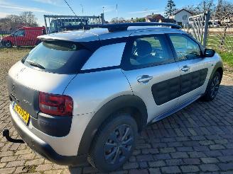 Citroën C4 cactus 1.6 Blue HDI Business Euro 6 picture 3