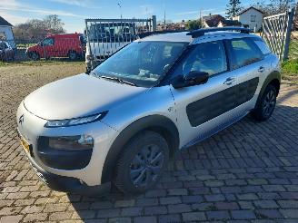 Citroën C4 cactus 1.6 Blue HDI Business Euro 6 picture 2