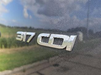 Mercedes Sprinter 317 picture 12