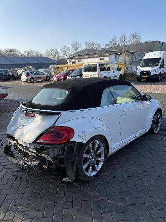 Volkswagen Beetle Cabriolet picture 6