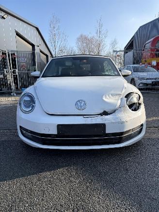 Volkswagen Beetle  picture 2