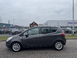 Opel Meriva 1.4 Cosmo 74kw picture 2