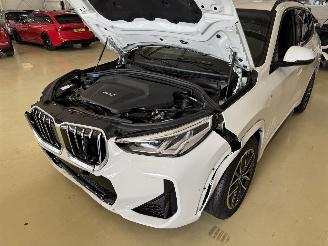 BMW iX1 eDrive20 67 kWh picture 9