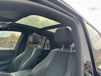 Mercedes GLE 350 de 4MATIC picture 16