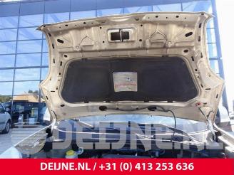 Fiat Doblo Doblo Cargo (263), Van, 2010 / 2022 1.3 MJ 16V DPF Euro 5 picture 12
