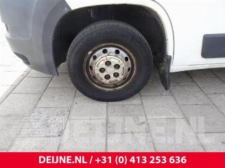 Fiat Ducato Ducato (250), Bus, 2006 2.3 D 120 Multijet picture 15