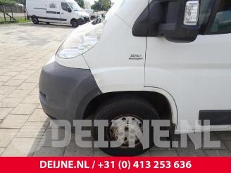 Fiat Ducato Ducato (250), Bus, 2006 2.3 D 120 Multijet picture 13