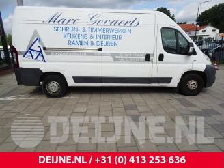 Fiat Ducato Ducato (250), Bus, 2006 2.3 D 120 Multijet picture 8