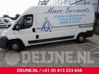 Fiat Ducato Ducato (250), Bus, 2006 2.3 D 120 Multijet picture 4