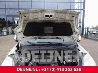 Fiat Doblo Doblo Cargo (263), Van, 2010 / 2022 1.3 D Multijet picture 11