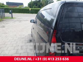 Volkswagen Caddy Caddy Cargo V (SBA/SBH), Van, 2020 2.0 TDI BlueMotionTechnology picture 32