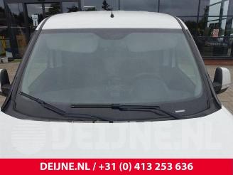 Opel Combo Combo, Van, 2012 / 2018 1.3 CDTI 16V ecoFlex picture 34
