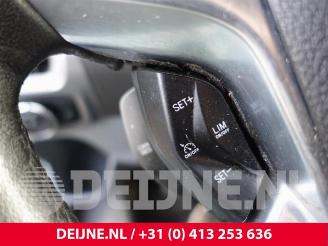 Ford Transit Transit Custom, Van, 2011 / 2023 2.0 TDCi 16V Eco Blue 130 picture 22