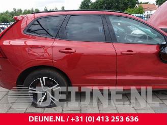 Volvo Xc-60 XC60 II (UZ), SUV, 2017 2.0 B4 16V Mild Hybrid AWD picture 34