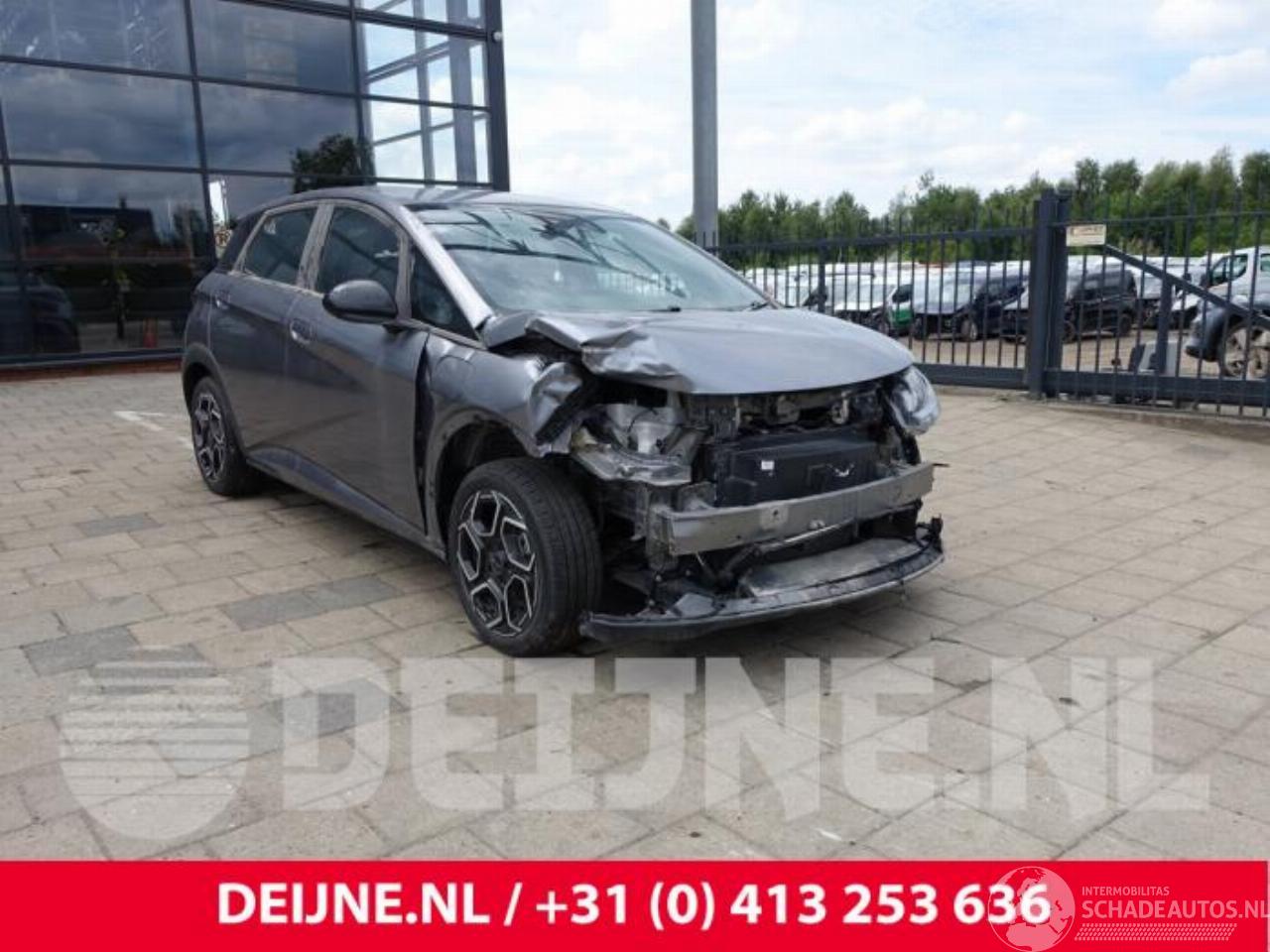 BYD Dolphin Dolphin, Hatchback 5-drs, 2021 60 kWh