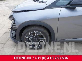 BYD Dolphin Dolphin, Hatchback 5-drs, 2021 60 kWh picture 9