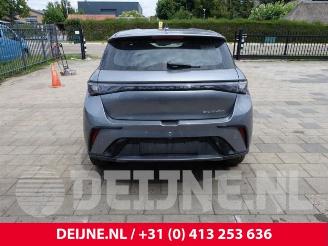 BYD Dolphin Dolphin, Hatchback 5-drs, 2021 60 kWh picture 6