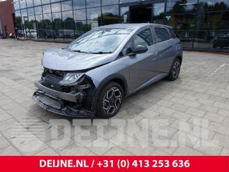 BYD Dolphin Dolphin, Hatchback 5-drs, 2021 60 kWh picture 3
