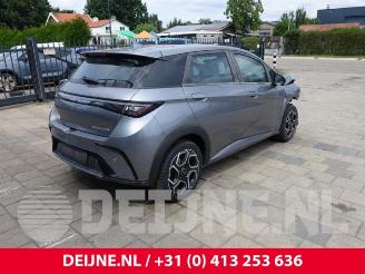 BYD Dolphin Dolphin, Hatchback 5-drs, 2021 60 kWh picture 7