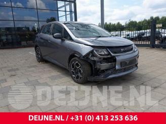 disassembly passenger cars BYD Dolphin Dolphin, Hatchback 5-drs, 2021 60 kWh 2024