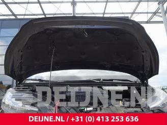 Ford Transit  picture 17