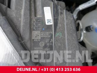 Ford Transit  picture 16