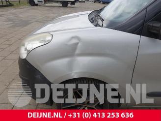 Opel Combo Combo, Van, 2012 / 2018 1.3 CDTI 16V ecoFlex picture 9