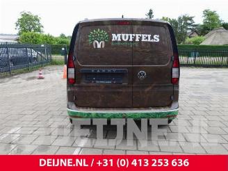 Volkswagen Caddy Caddy Cargo V (SBA/SBH), Van, 2020 2.0 TDI BlueMotionTechnology picture 6