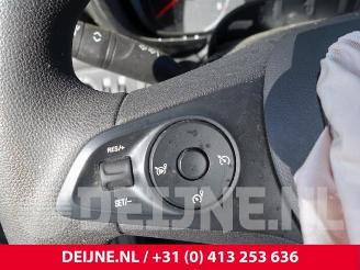 Opel Combo Combo Cargo, Van, 2018 1.5 CDTI 100 picture 21