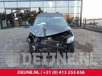 Volkswagen Caddy Caddy IV, Van, 2015 2.0 TDI 102 picture 2