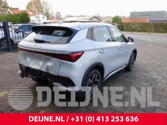 BYD Atto 3 Atto 3/Atto 3 Evo, SUV, 2022 FWD 60 kWh picture 7