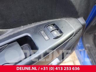 Fiat Doblo Doblo Cargo (263), Van, 2010 1.3 D Multijet picture 18
