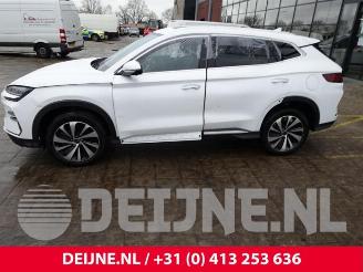 BYD Seal U Seal U, SUV, 2024 1.5 DM-I FWD picture 4