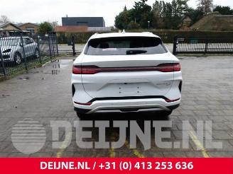 BYD Seal U Seal U, SUV, 2024 1.5 DM-I FWD picture 6