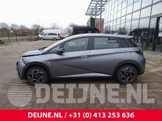 BYD Dolphin Dolphin, Hatchback 5-drs, 2021 60,4 kWh picture 4