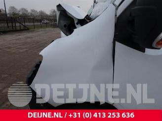 Renault Master Master III (MA/MB/MC/MD/MH/MF/MG/MH), Van, 2010 2.3 Energy dCi 180 Twin Turbo 16V FWD picture 9