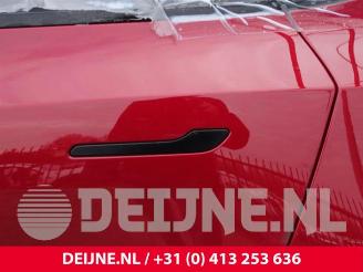 Tesla Model Y Model Y (5YJY), SUV, 2019 / 2025 RWD picture 22