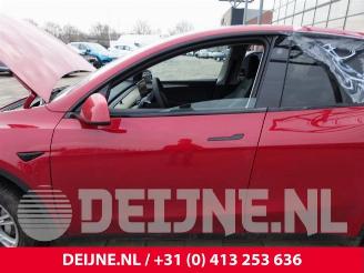 Tesla Model Y Model Y (5YJY), SUV, 2019 RWD picture 20