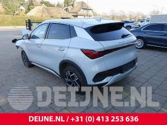 BYD Atto 3 Atto 3/Atto 3 Evo, SUV, 2022 FWD 60 kWh picture 5