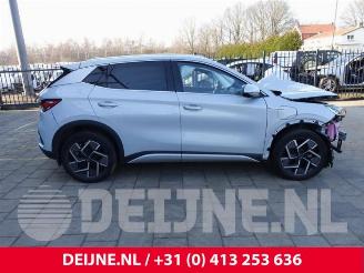 BYD Atto 3 Atto 3/Atto 3 Evo, SUV, 2022 FWD 60 kWh picture 8
