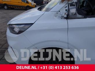 Ford Transit Transit Custom, Van, 2023 2.0 EcoBlue 136 picture 10