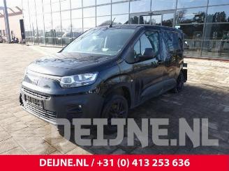 Fiat Doblo Doblo Cargo, Van, 2022 1.5 D Multijet 130 picture 3