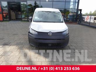 Volkswagen Caddy Caddy Cargo V (SBA/SBH), Van, 2020 2.0 TDI BlueMotionTechnology picture 2