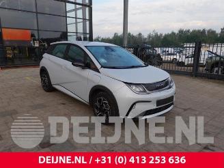  BYD Dolphin Dolphin, Hatchback 5-drs, 2021 60,4 kWh 2024/4