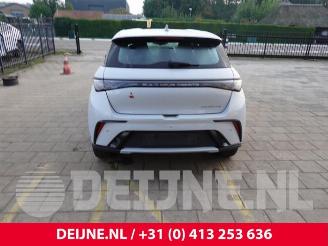 BYD Dolphin Dolphin, Hatchback 5-drs, 2021 60,4 kWh picture 6