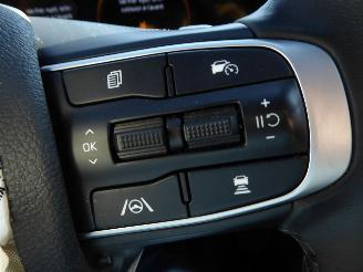 Kia Sportage Hybrid picture 21