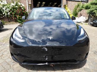 Tesla Model Y  picture 2