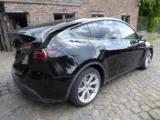 Tesla Model Y  picture 6
