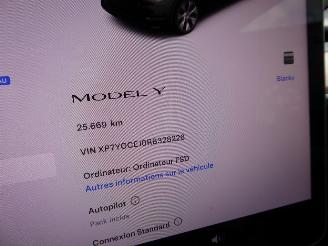 Tesla Model Y  picture 22